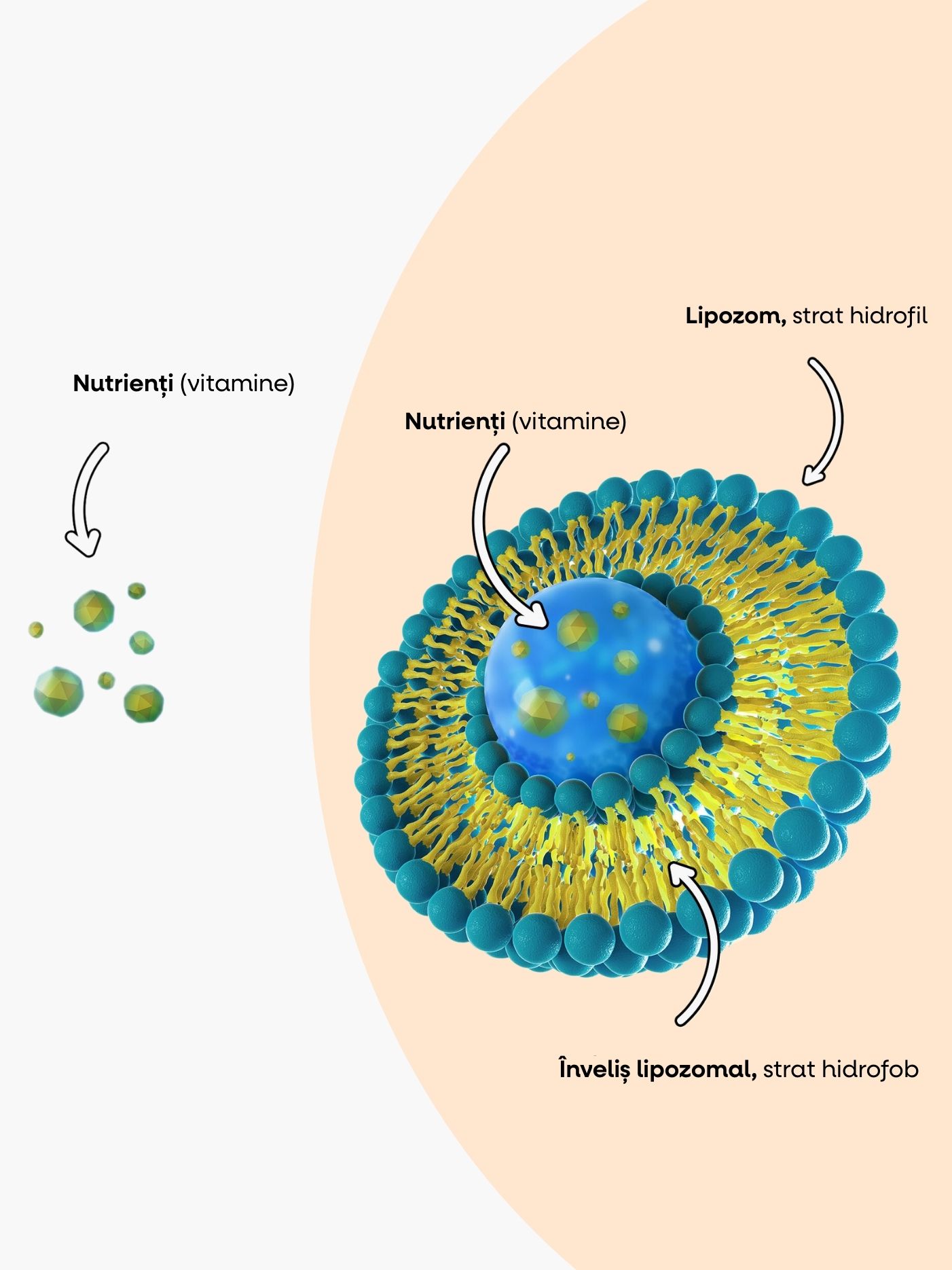 (Rumunština) VITAMIN C